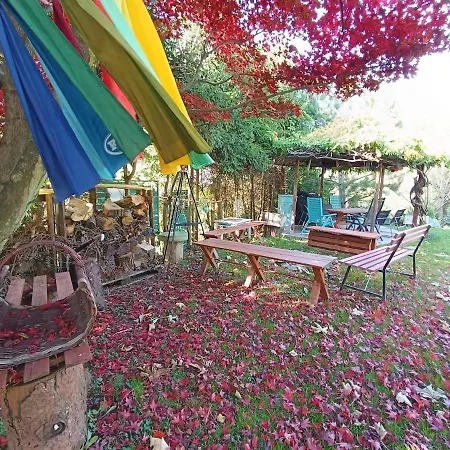 Tutto Little House