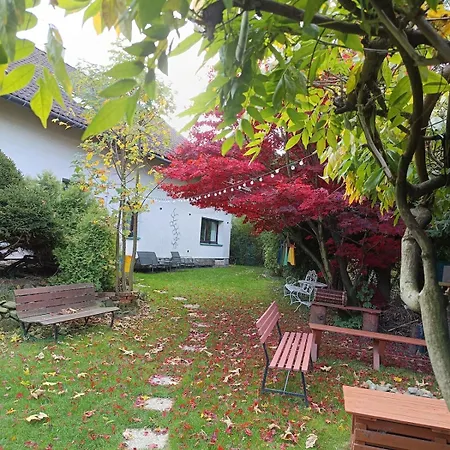 Tutto Little House